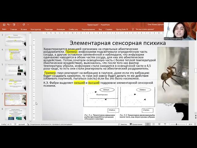 Психика. Эволюционное развитие психики. Проблема объективного критерия психики.