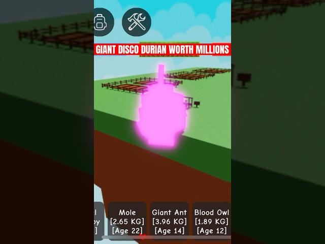 Giant Disco Mutated Durian! Grow a Garden Roblox
