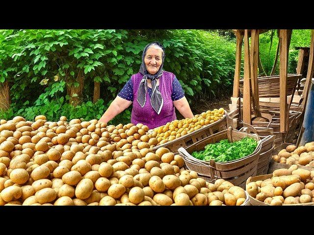 Harvesting Lots of Organic Potatoes and Cooking A Traditional Azerbaijani Dish!