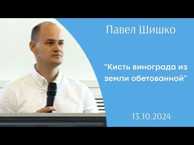 Кисть винограда из земли обетованной | Павел Шишко