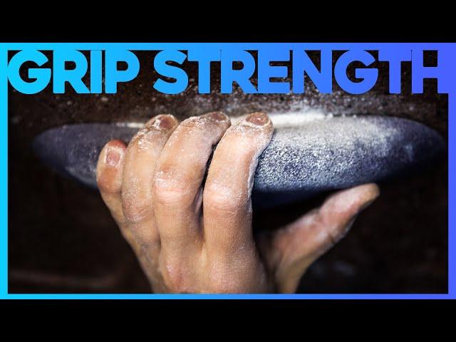 What Ninja Warrior Teaches Us About Grip Strength | Corporis