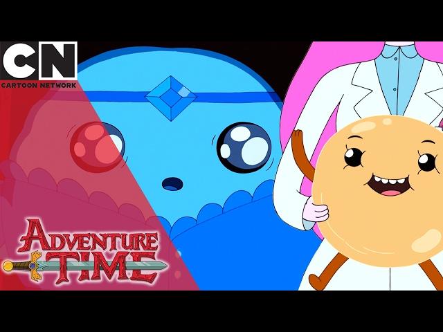 Adventure Time | Bun Bun | Cartoon Network