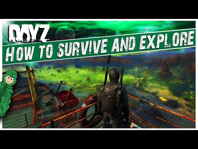 DayZ Beginner Guide | Contaminated Areas | And how to cure toxic poisoning | 2022