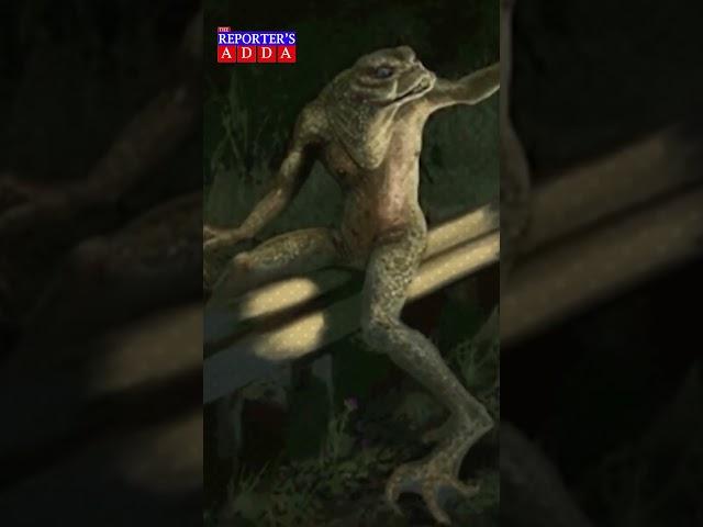 The Frogs of Loveland: A Legendary Tale #LovelandFrogs #shorts #ohio