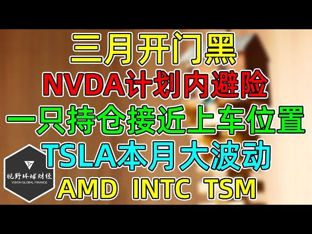 美股 三月开门黑！NVDA计划内避险！一只持仓接近加仓位置！AMD、INTC、TSM！TSLA本月波动较大！