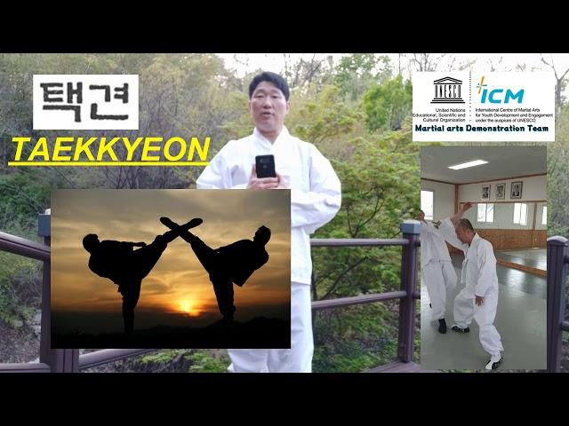 What is TAEKKYEON ?