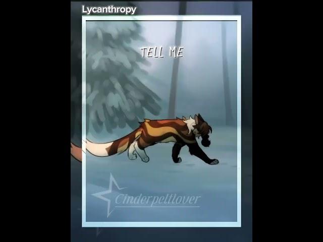 Tell me who I am// Leafpool edit! OG⁉️⁉️ FW