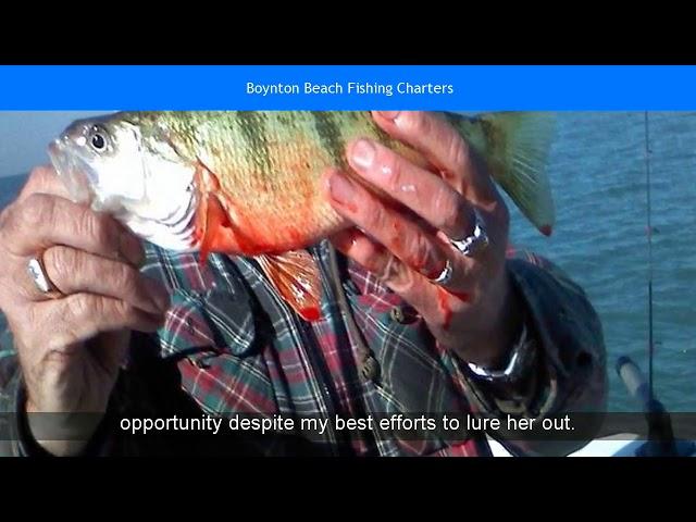 Boynton Beach Fishing Charters