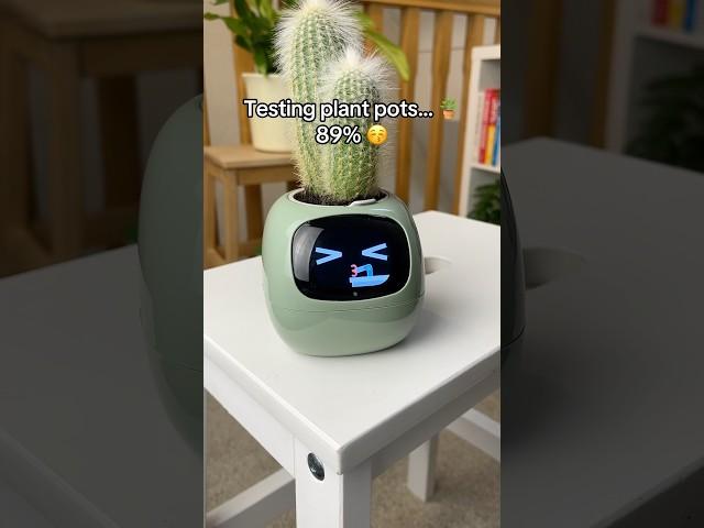 Testing plant pots… 🪴