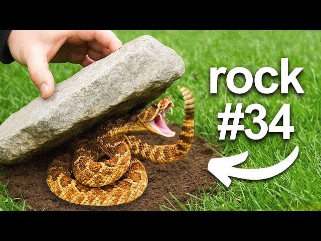 I Flipped 100 Rocks, Here's What I Found...