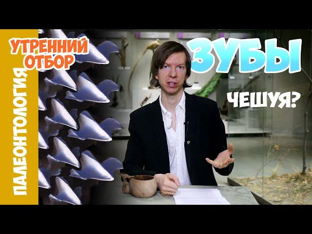 Откуда появились зубы? Ярослав Попов.