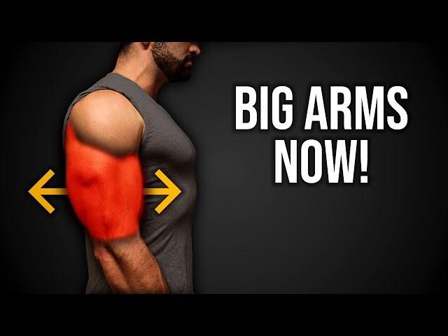 6min Home BIGGER ARMS Workout (DUMBBELLS ONLY BICEPS & TRICEPS ROUTINE!!)