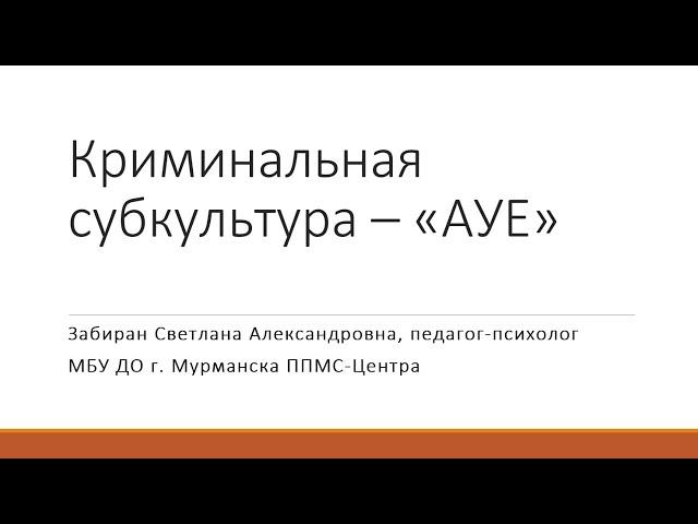 Вебинар Криминальная субкультура