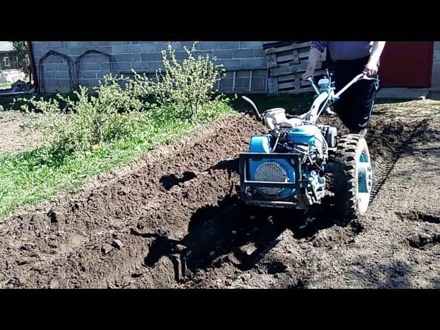 Мотоблок МТЗ-12 посадка картофеля под плуг.