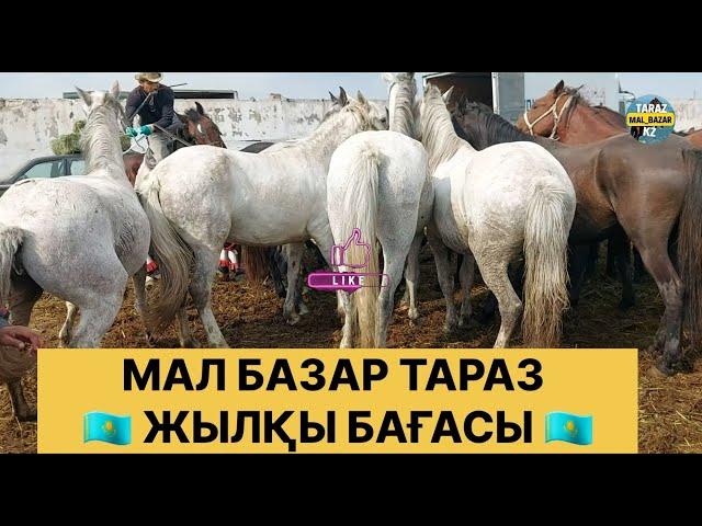 Жылқы базар 22.09.2024 Мал базар Тараз / Mal bazar Taraz