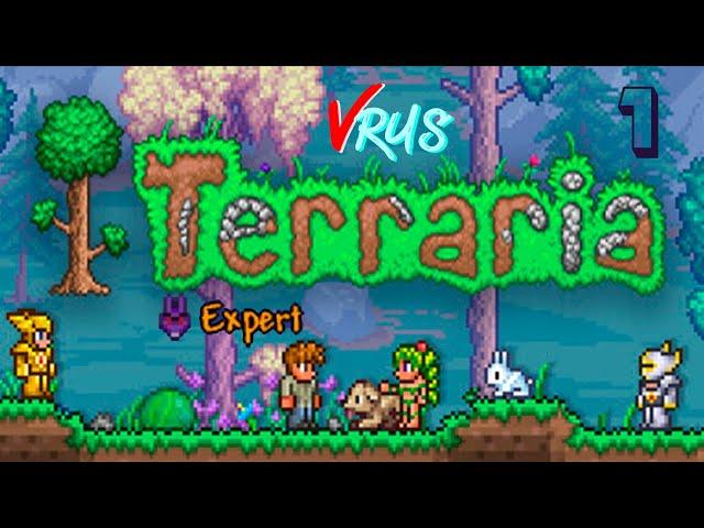 Расчехляем кирки | Terraria | Expert | 1