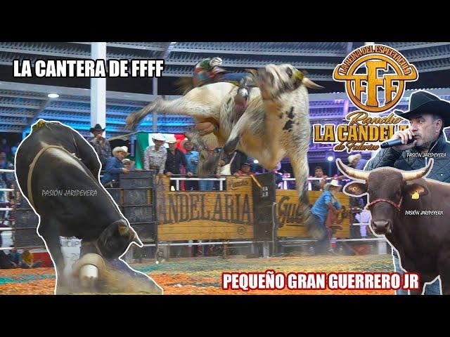 Regresó el PEQUEÑO GRAN GUERRERO de RANCHO LA CANDELARIA Tetipac Guerrero 2024 | Jaripeo Completo