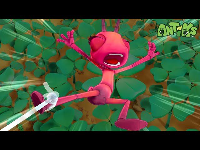 Midnight Manic | Antiks  | Funny Cartoons for Kids