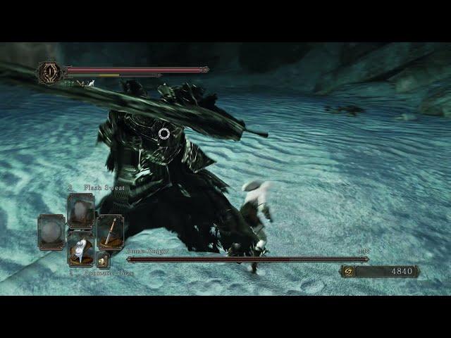 Dark Souls 2 - Fume Knight Boss Fight (No Damage)