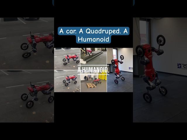 Future of Robotic Mobility #artificialintelligence #tesla #humanoidrobot #quadruped #robot #robotics