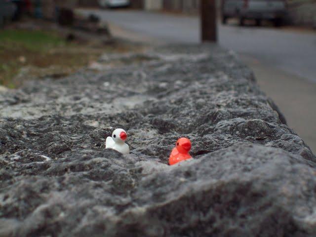 Walkin' and Shootin' around Eureka Springs, AR