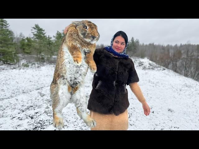 Huge Rabbit Cooked according to a Special Recipe for a Delicious Dinner!