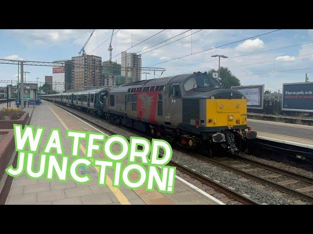 Trains at Watford Junction (02/08/24)