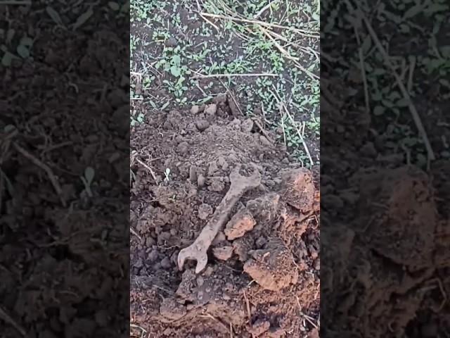 находка