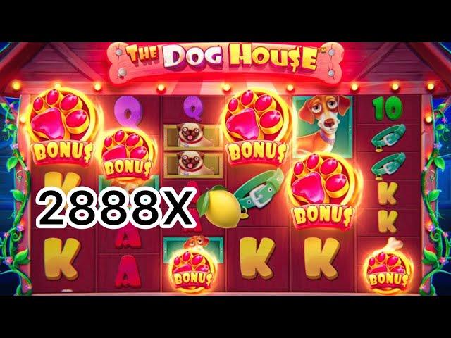 STRIMDAGI TOP 5 ta zanoslar The dog House 2888Х max win 149.000.000 söm yutuq