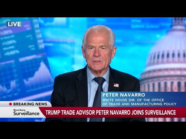 Trump Advisers Downplay Court Ruling: Peter Navarro Full Interview