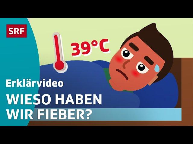 Fieber: Darum erhöht sich unsere Temperatur – einfach erklärt | Kindervideos | SRF Kids