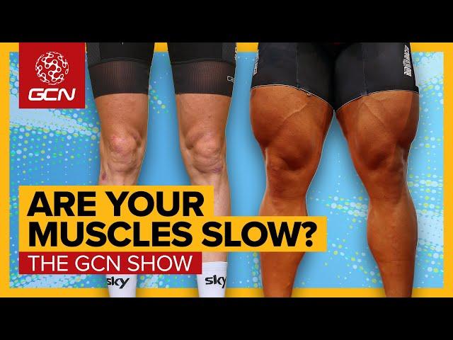 The SUPERPOWER Of Knowing Your Muscle Fibre Type | GCN Show Ep. 619