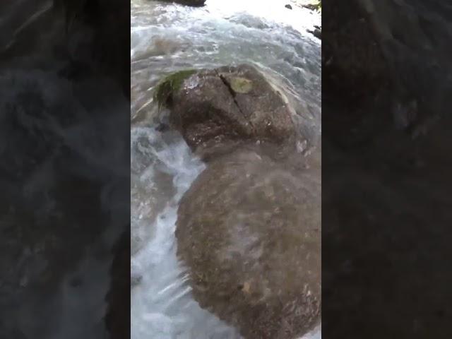 Рыбалка в Чечне
