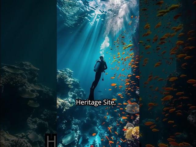 Explore The Great Blue Hole of Belize | A Natural Wonder Beneath the Waves #LensOfExploration