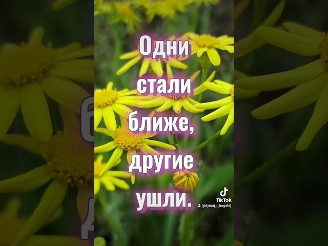 Цитаты про жизнь. Красивое видео для сторис в инстаграм. Цветы. Природа