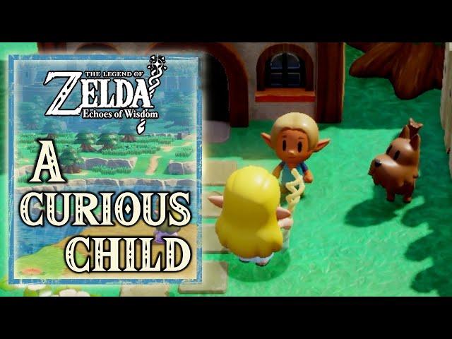 The Legend of Zelda Echoes of Wisdom - A Curious Child - Zol, Ignizol & Hydrozol Location