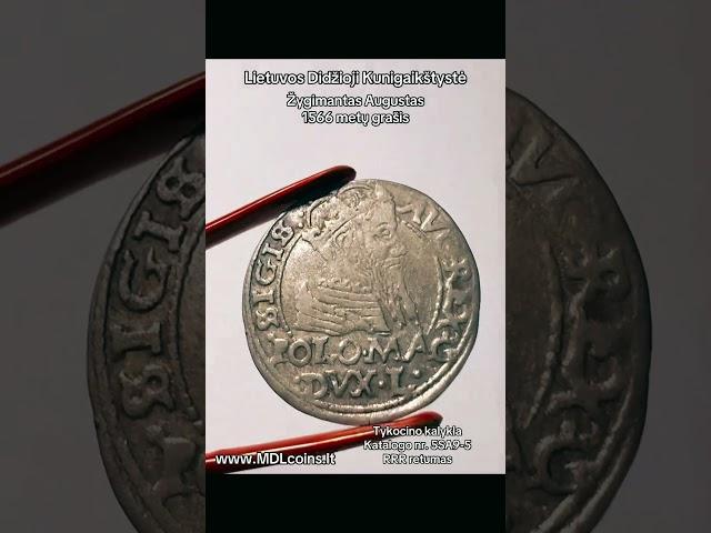 Lithuania - Sigismund II Augustus - 1566 year grosz - Tykocin - (Product code - MDL3056)