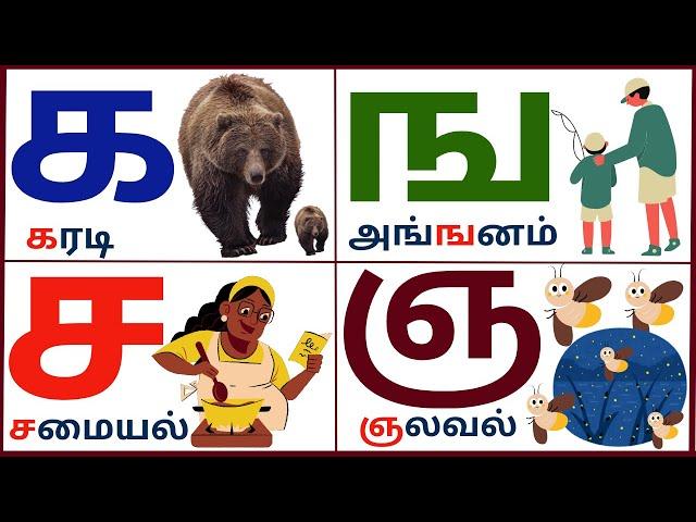 க ங ச ஞ ட ண த ந ப ம ய ர ல வ ழ ள ற ன || உயிர் மெய் எழுத்துக்கள் || Tamil Uyir mei Ezhuthukkal