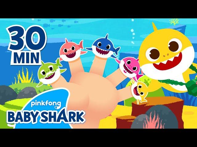 Shark Finger Family and More | +Compilation | Baby Shark Songs | Baby Shark Official