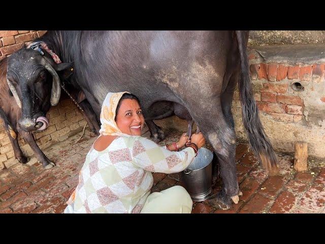इतने महंगे कपडे एक बार में खराब | या मिणी थोड़ी साही है वीडियो बनाना इसे पसंद नहीं | UP Vlogger Babli