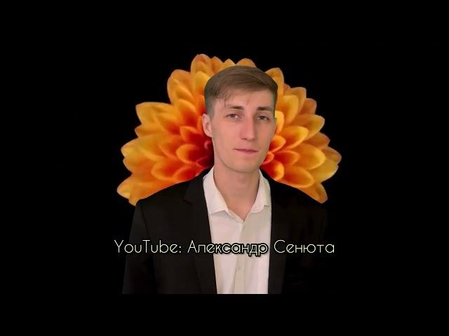 Все ландыши для ТЕБЯ.  Александр СЕНЮТА.