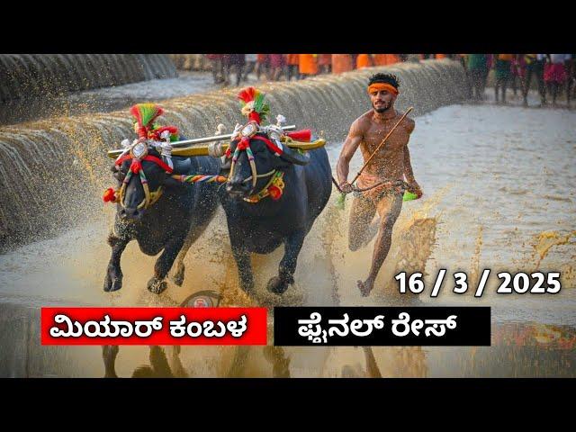 ಮಿಯಾರ್ ಲವ ಕುಶ ಜೋಡುಕರೆ ಕಂಬಳದ ಫೈನಲ್ ರೇಸ್ // Miyar lava kusha jodukare kambalada final race