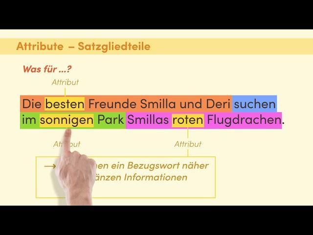 Das Attribut einfach erklärt | sofatutor