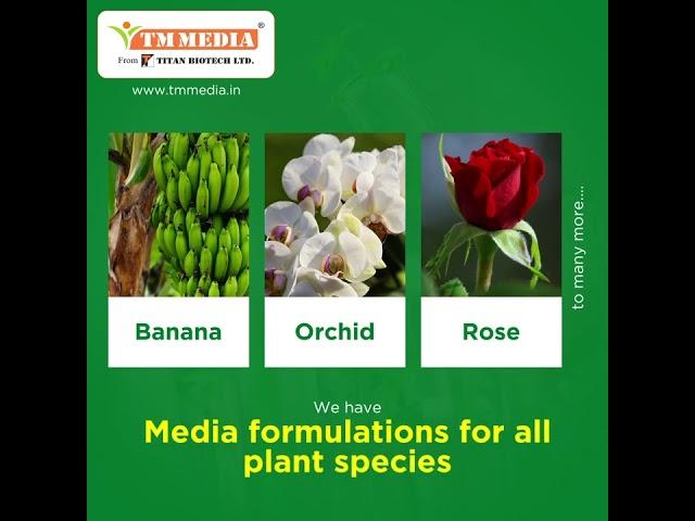 TM Media’s Advanced Plant Tissue Culture Media