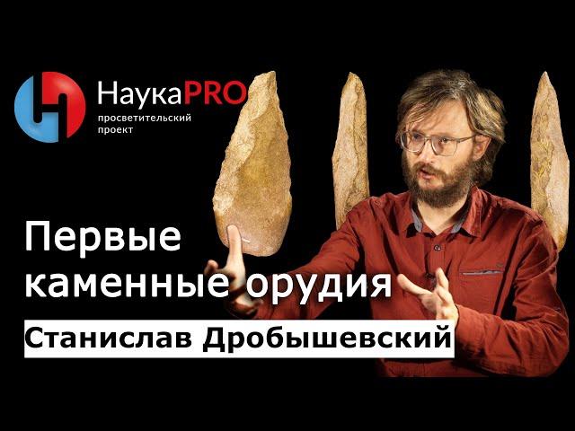 Первые орудия труда первобытных людей | Лекции по антропологии – Станислав Дробышевский | Научпоп