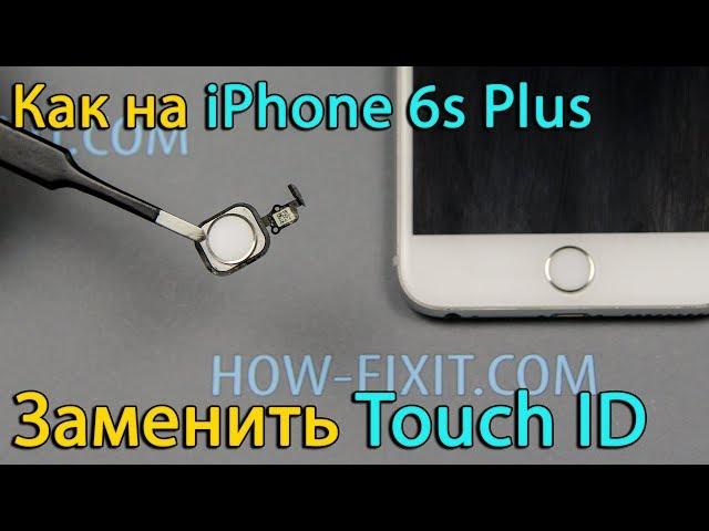 iPhone 6s Plus замена кнопки home