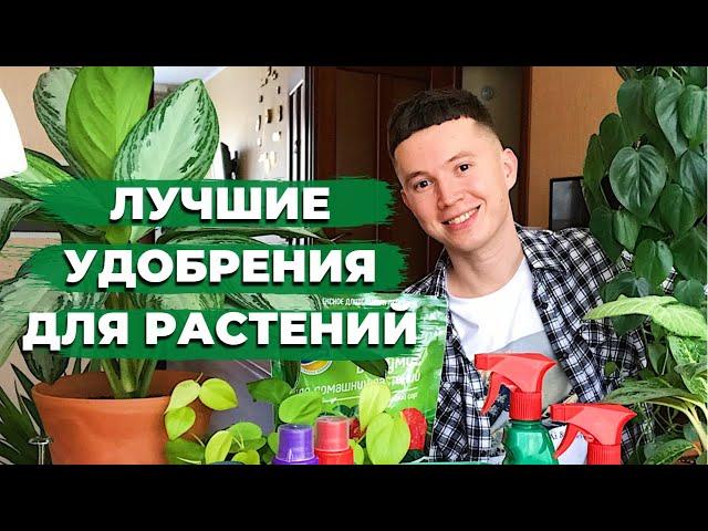 Удобрения для Комнатных Растений » Мои Фавориты