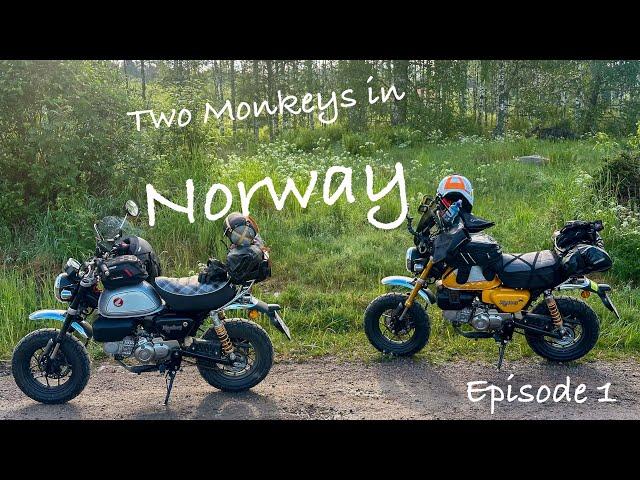 Two Monkeys in the Norwegian mountains! Ep 1