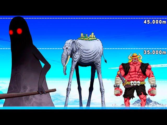 Crazy One Piece Size Comparison