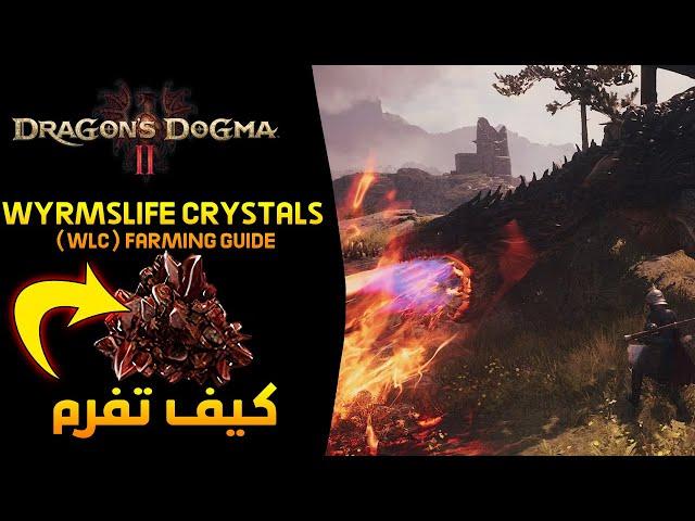 Dragon's Dogma II - Easiest & Fastest Wyrmslife Crystals (WLC) Farming Guide Any Build الشرح المفصل